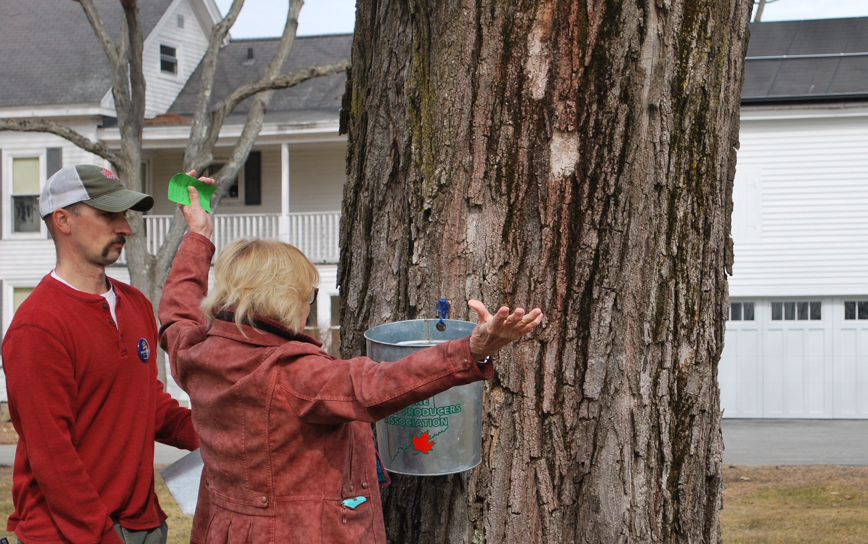 'We're ready' is maple producers' rallying cry as Maine Maple Sunday