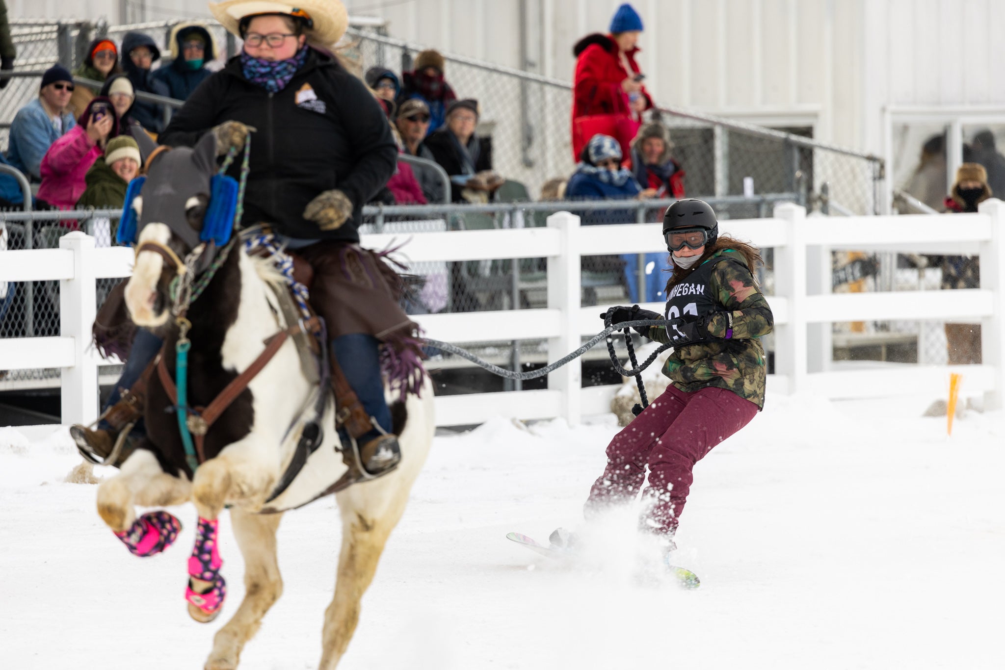 Skijoring & sleigh rides: Even with less snow, SnowFest a boon for