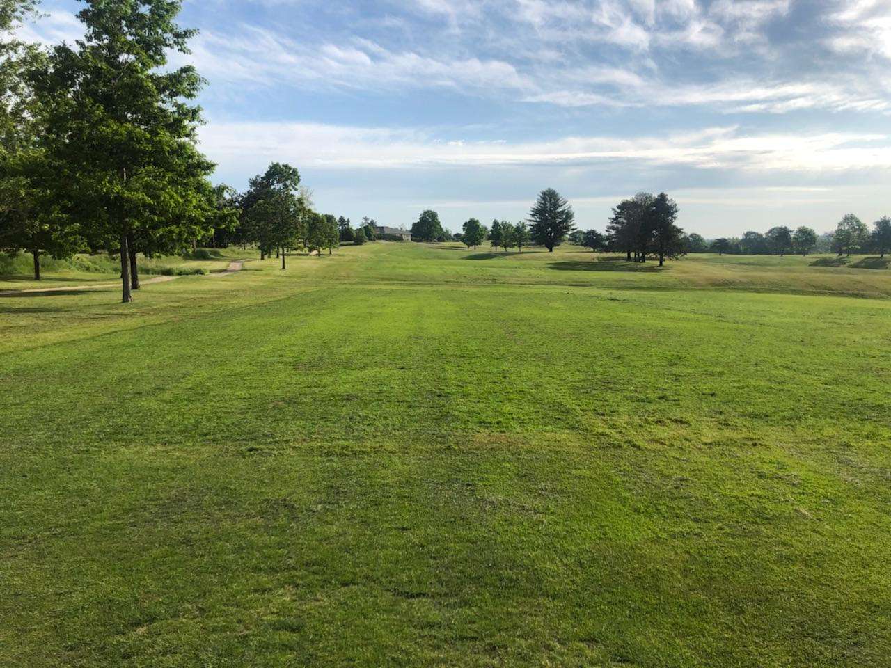 green grass and trees