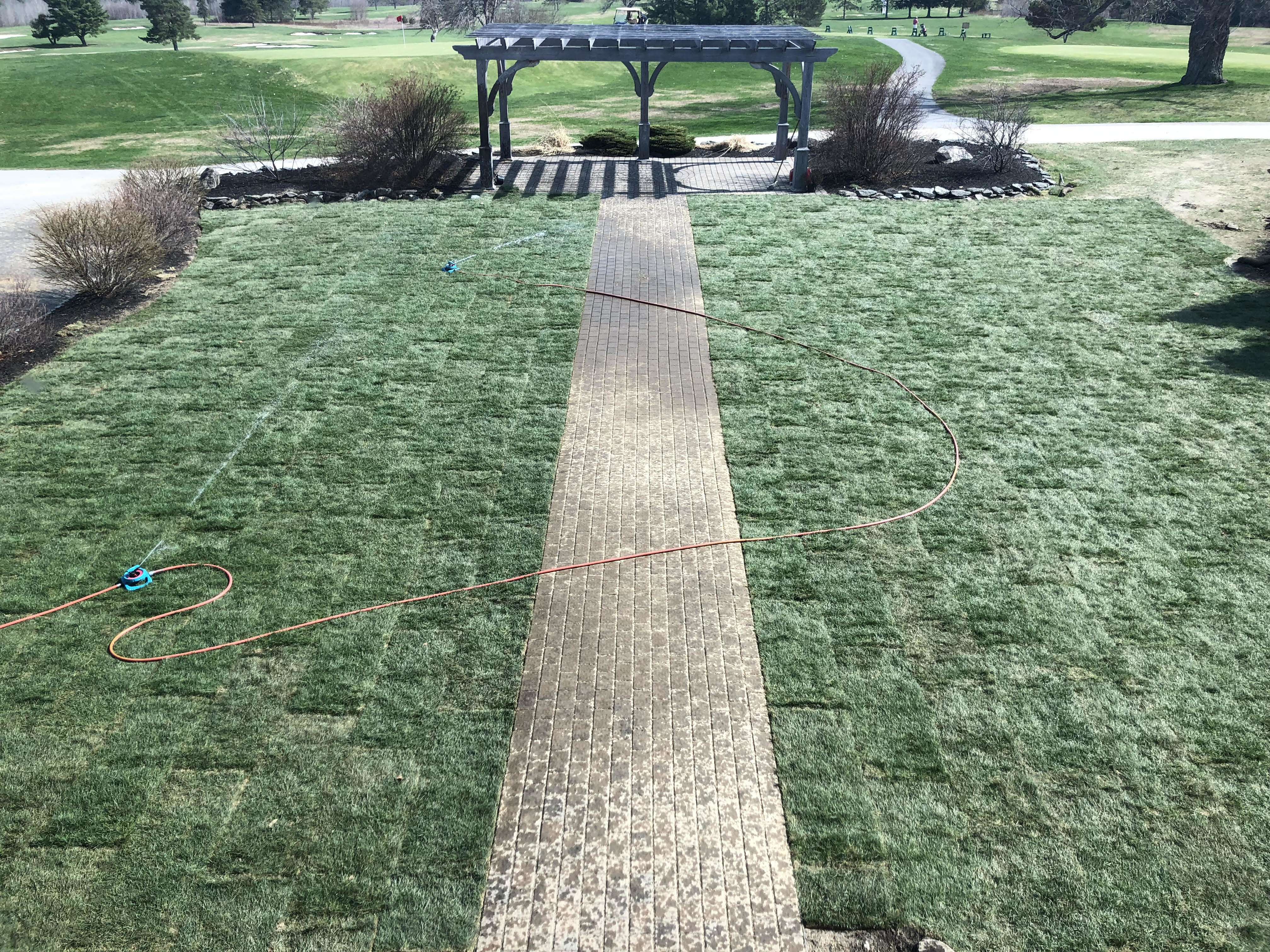 green lawn with brick path