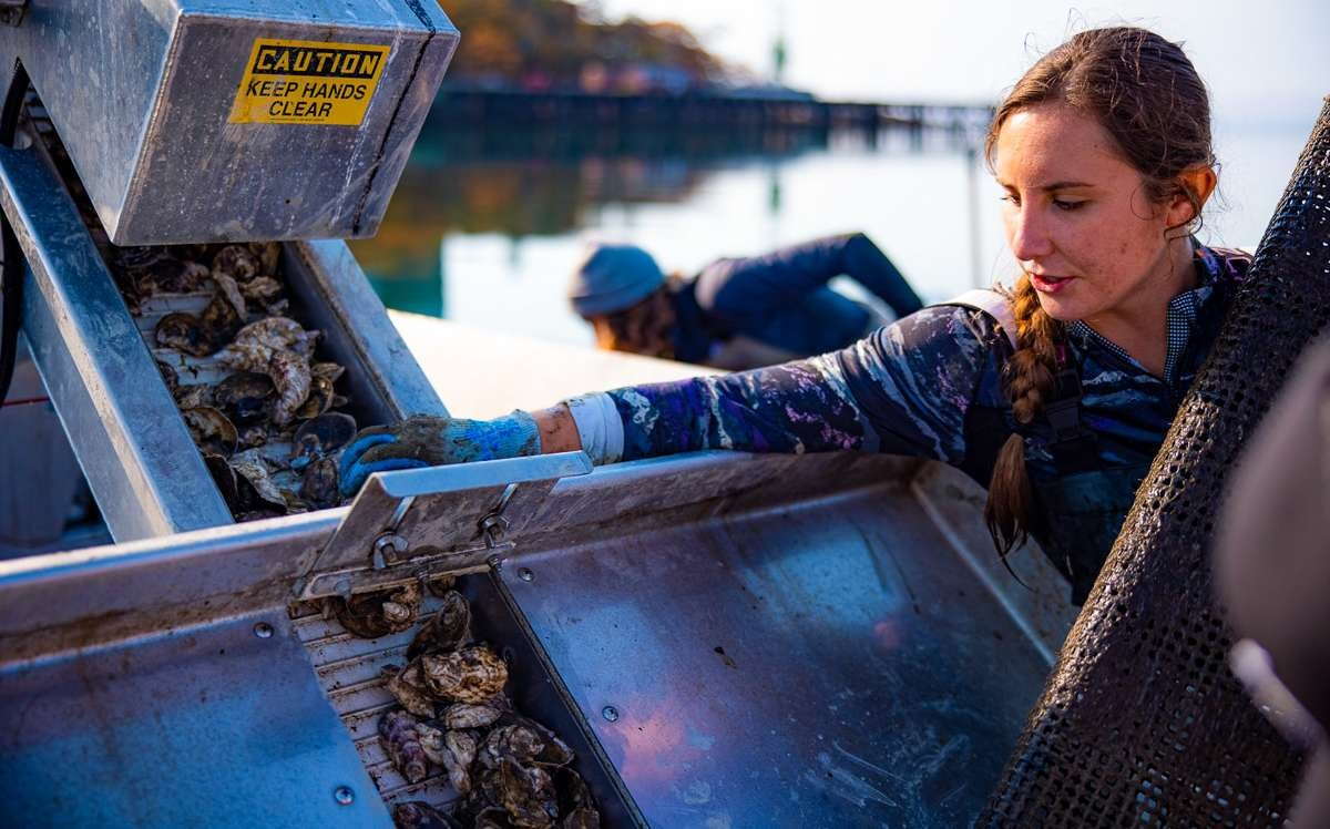 A person with Nauti Sisters Sea Farm handles equipment near the water.