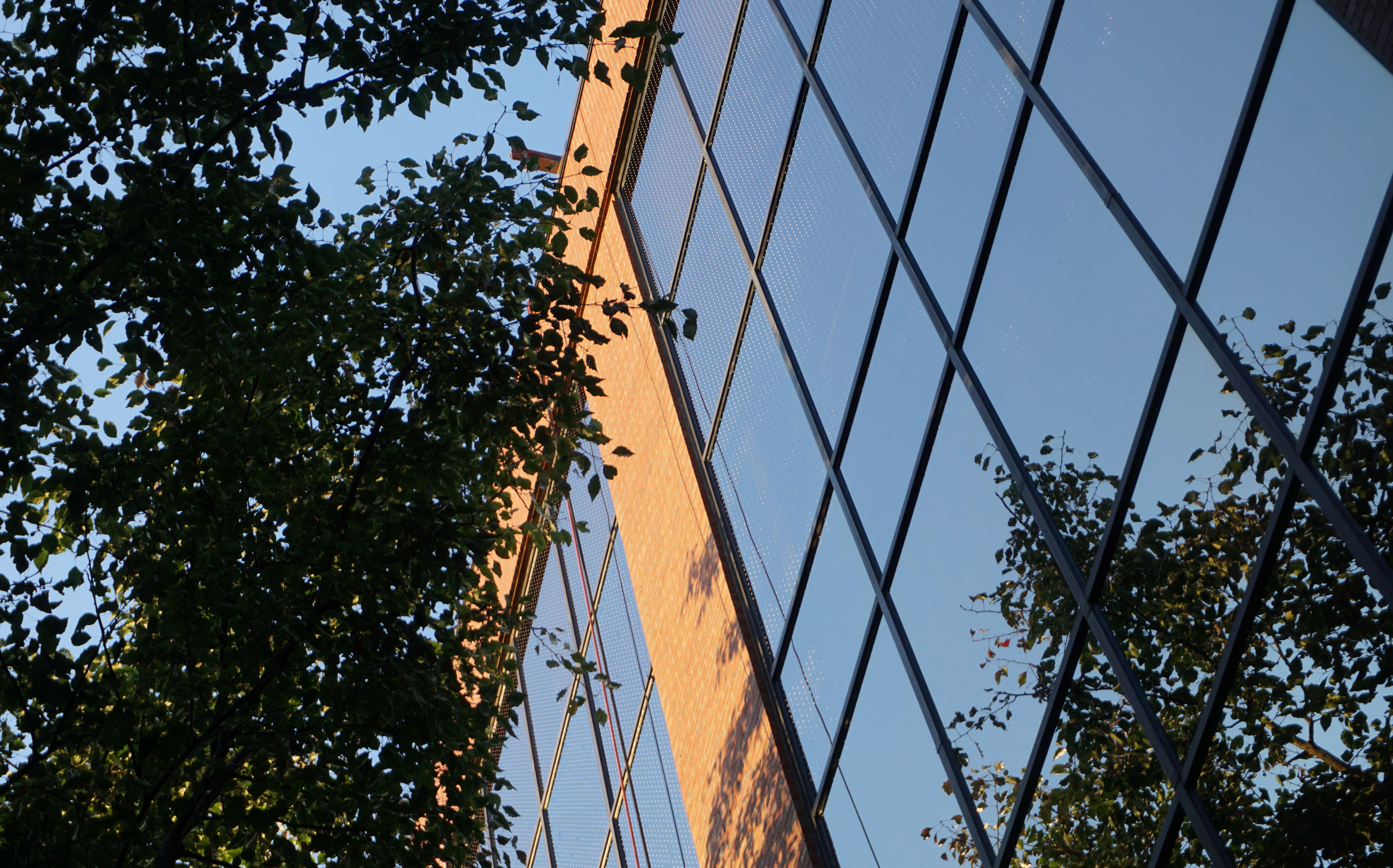 At MEMIC, the exterior of the building is shown with windows that have bird-safe decals.