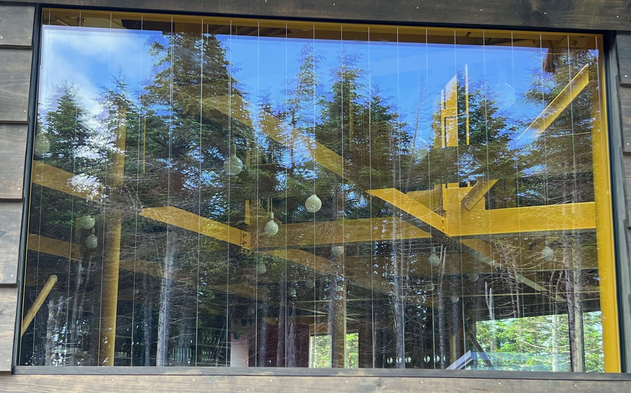 At Saddleback, the exterior of a window with a bird-safe application is shown.