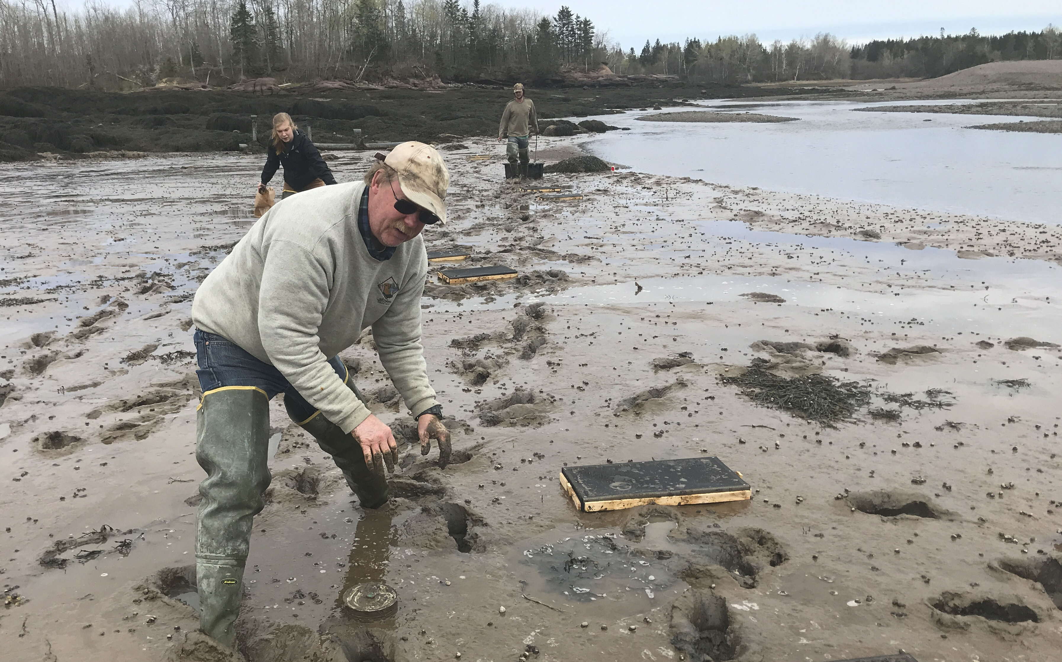 People work in the mud.