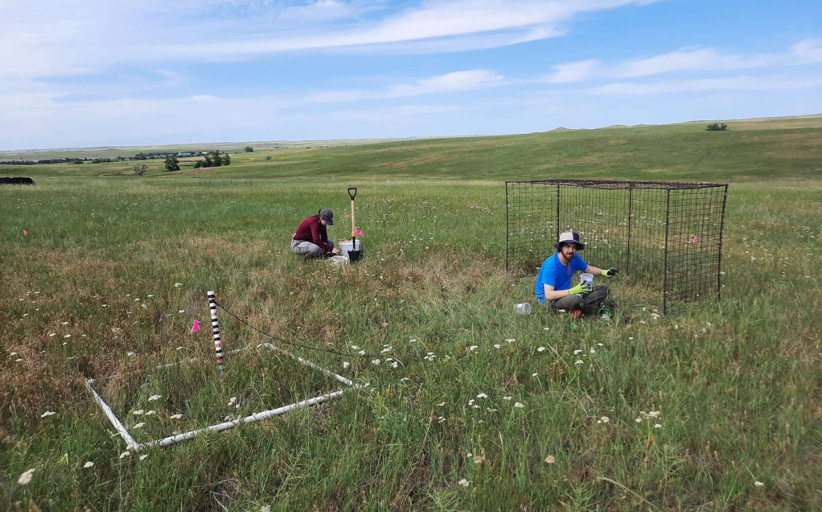 Two people are working on devices in a field.