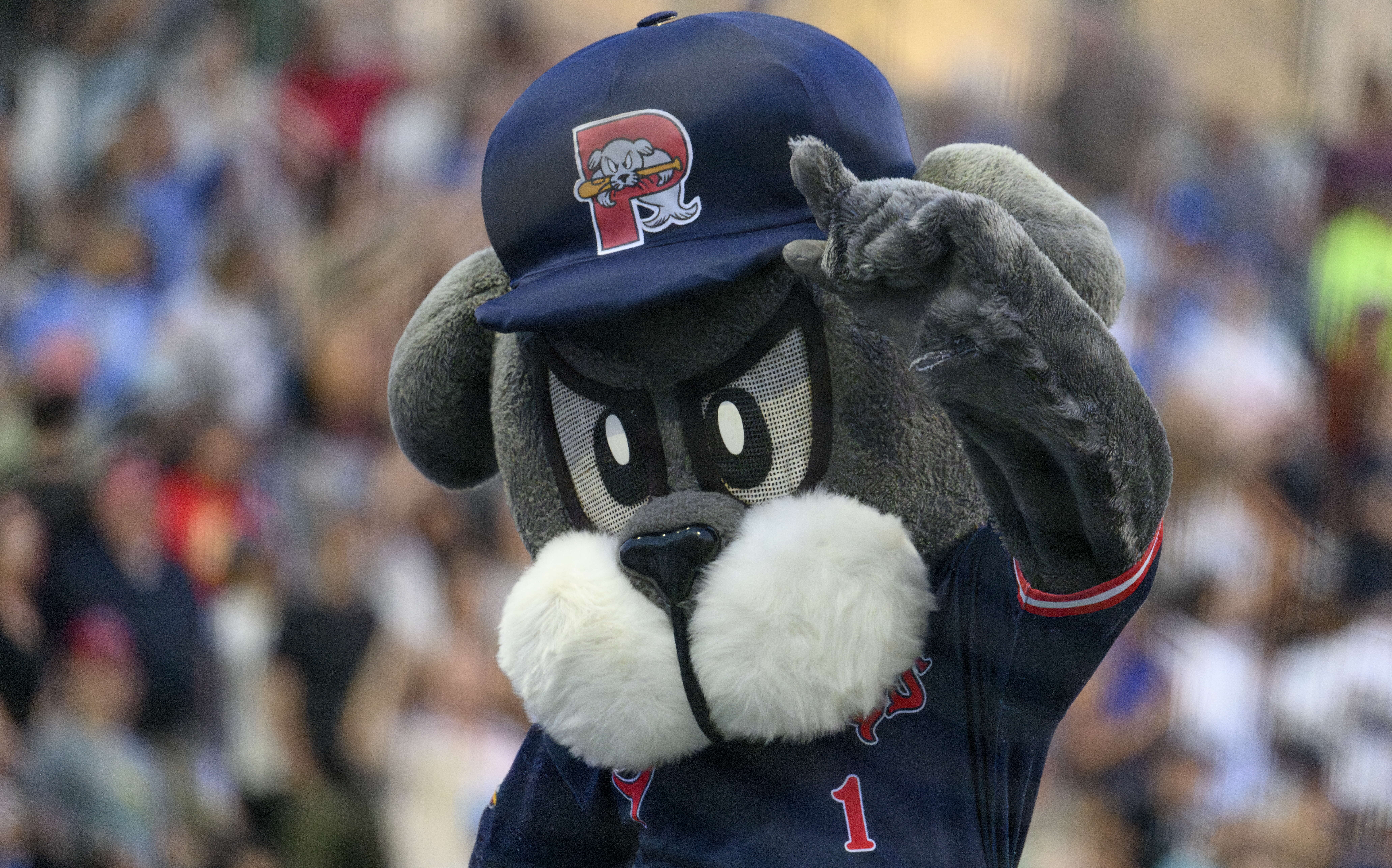 Slugger the Sea Dog in his blue uniform.