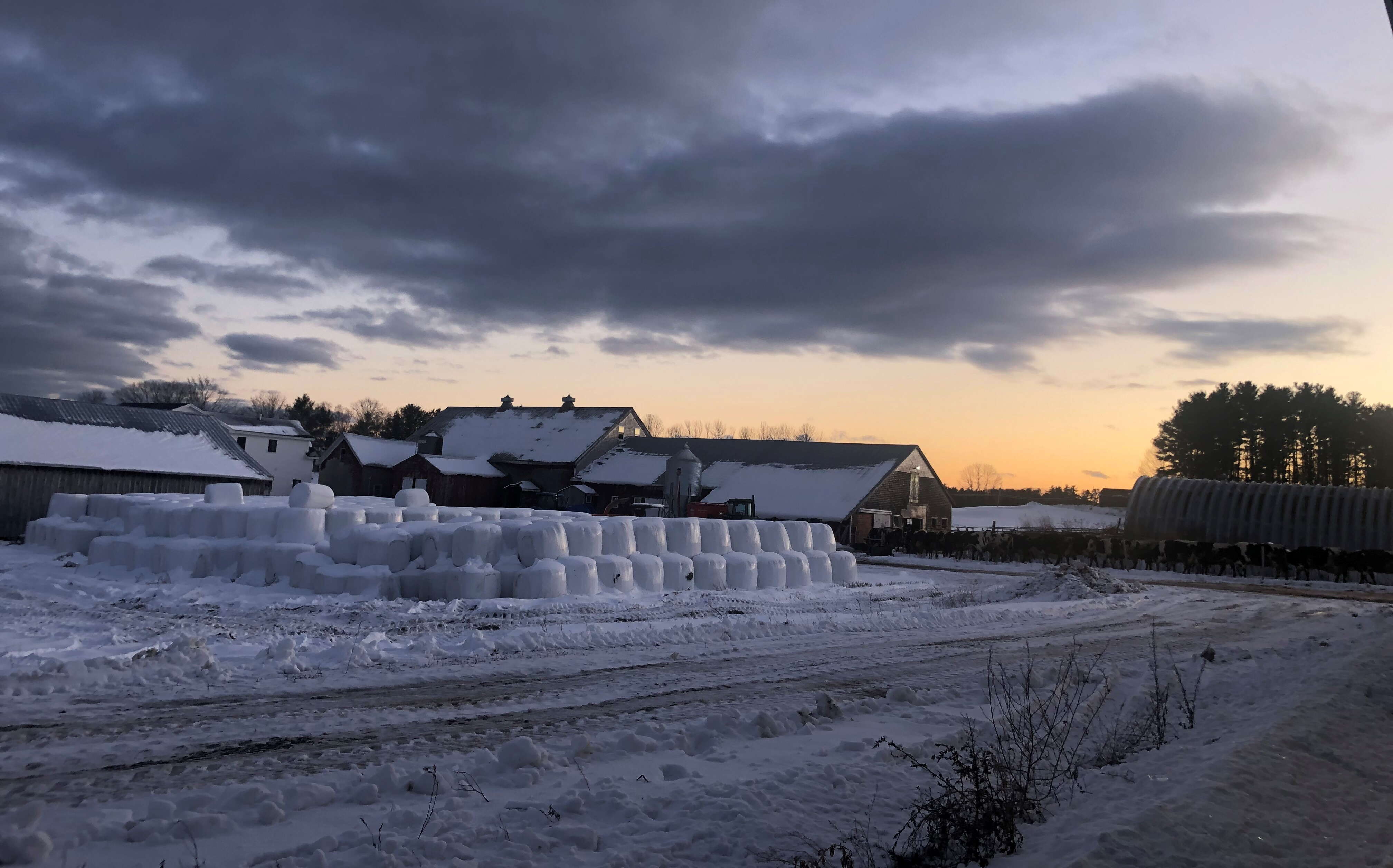 A dairy farm is seen with snow and ice.