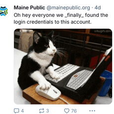 Maine Public cat meme on BlueSky