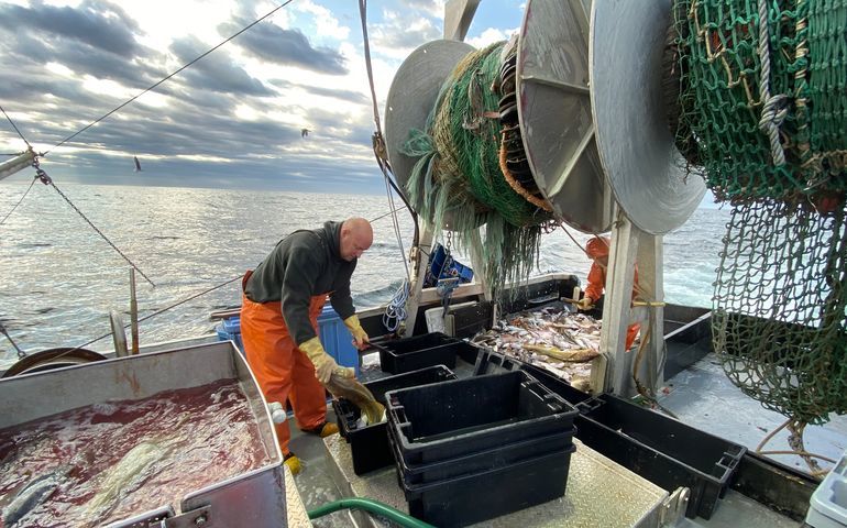 person on boat with fish