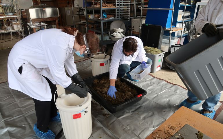 two people in lab with pan of soil