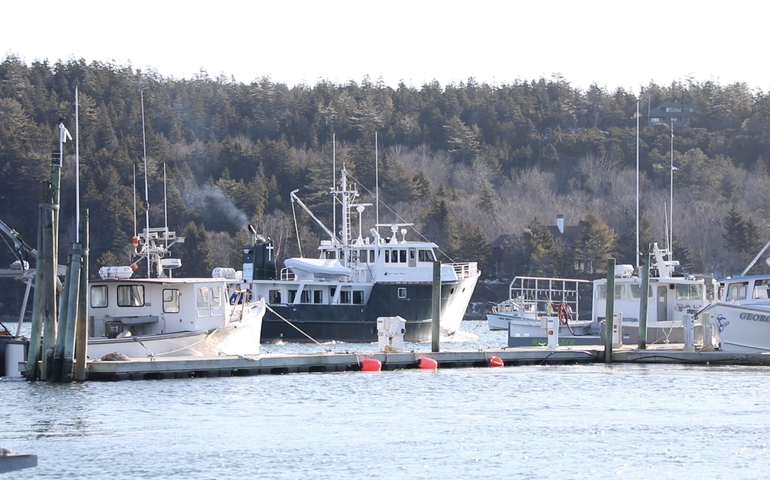 boats at docks