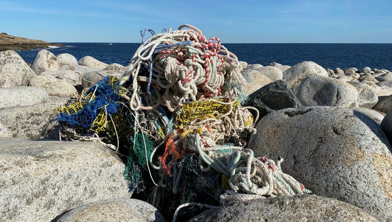 snarl of ropes on boulders