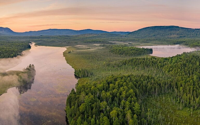 aerial of forest and water with pinkish sky