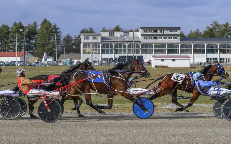 Harness race action shot 