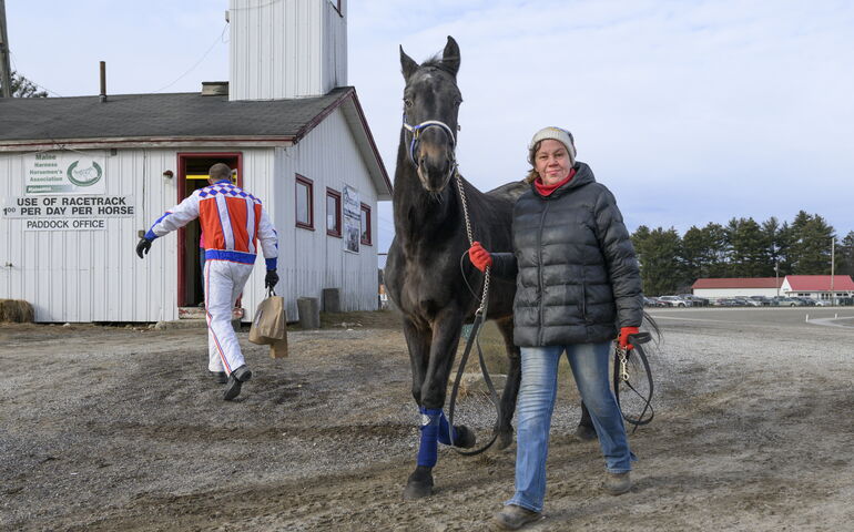 Woman leading horse at the track 