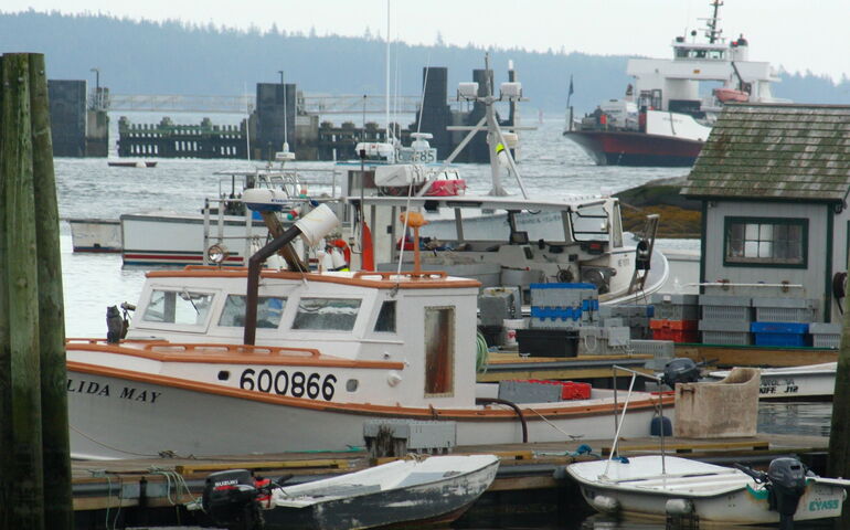 A number of boats are seen in a harbor.