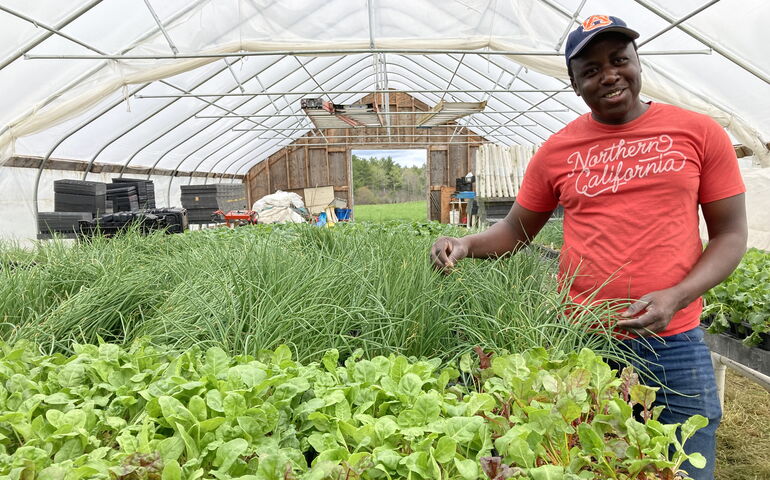 A farmer stands in a greenhouse with seedlings.