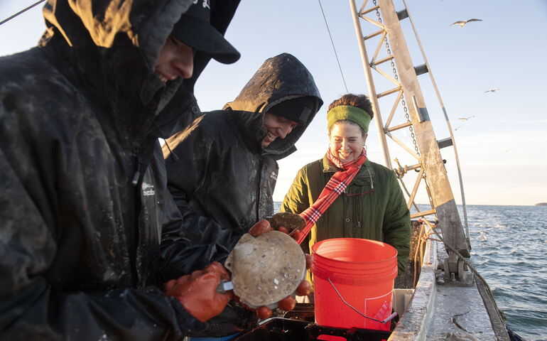 Threre people are on a boat with scallops.